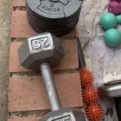 25 Lb Dumbbell Dumbell Iron Steel Metal Weights Hand Weight 