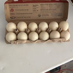 Eggs Duck
