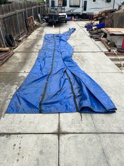 Tarp