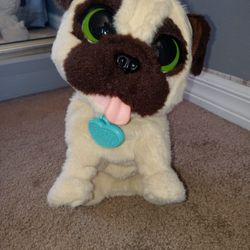 Toy Pug