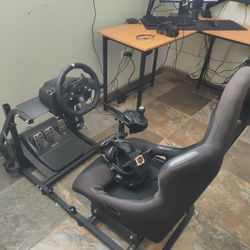 Sim Racing 