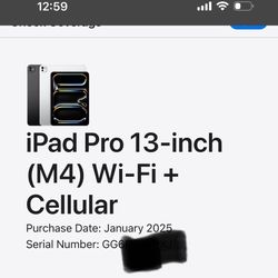 iPad Pro 13 Inches 2tb WiFi Cell Never Used 