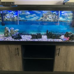 Fish Tank 125 Gal