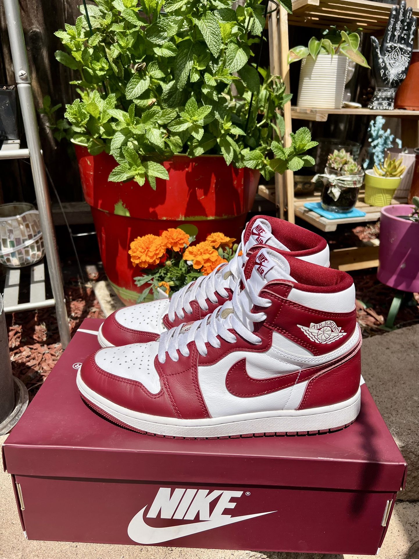 Nike Air Jordan’s