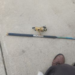 Fishing zebco 6040 rod