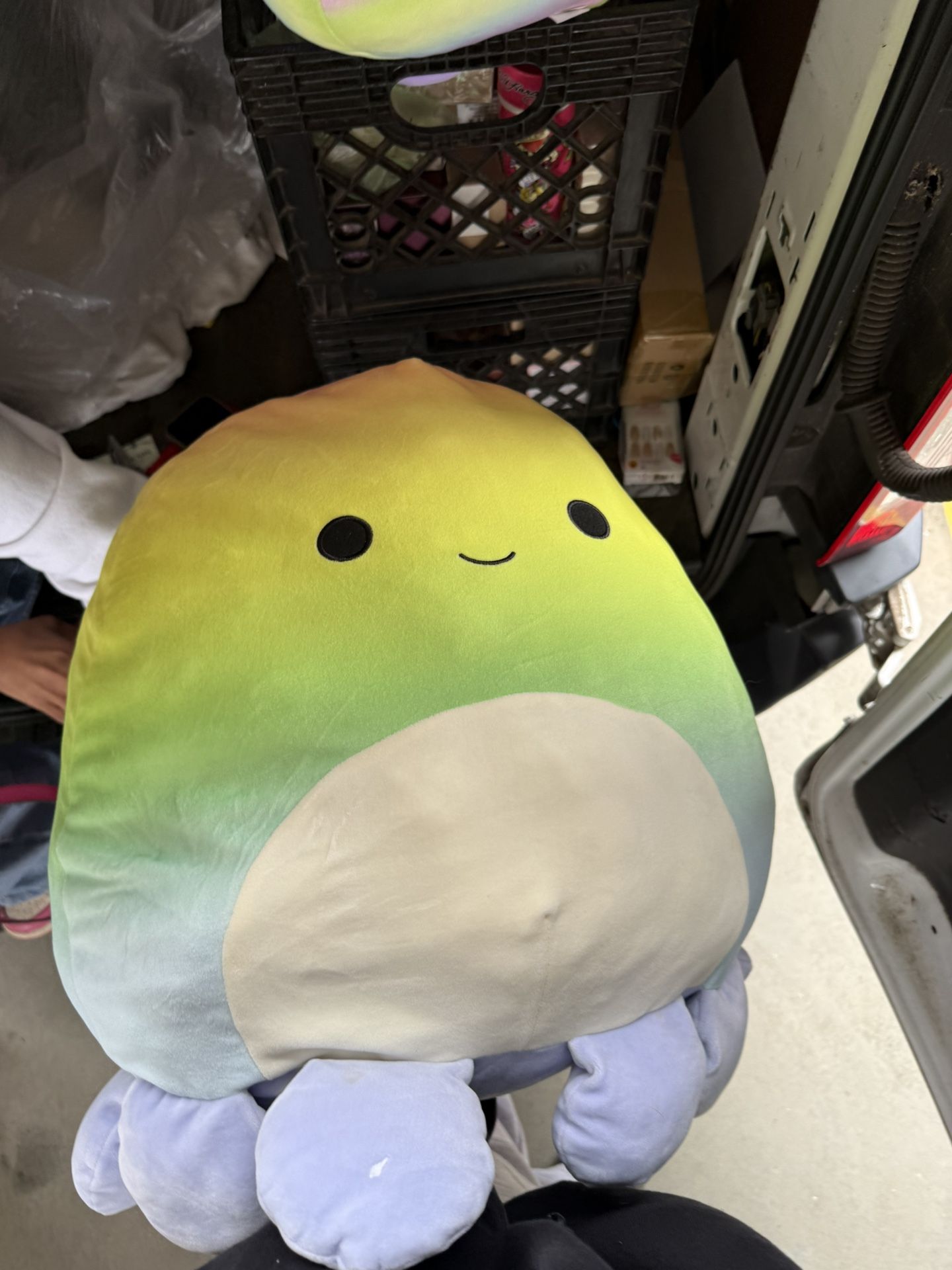 Squishmallows (2)