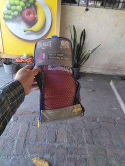 Everlast Boxing Gloves