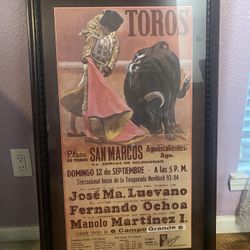 Authentic Toros Poster