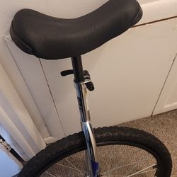 SUN BICYCLES Unicycle Classic 29 Inch Chrome Plated/Black