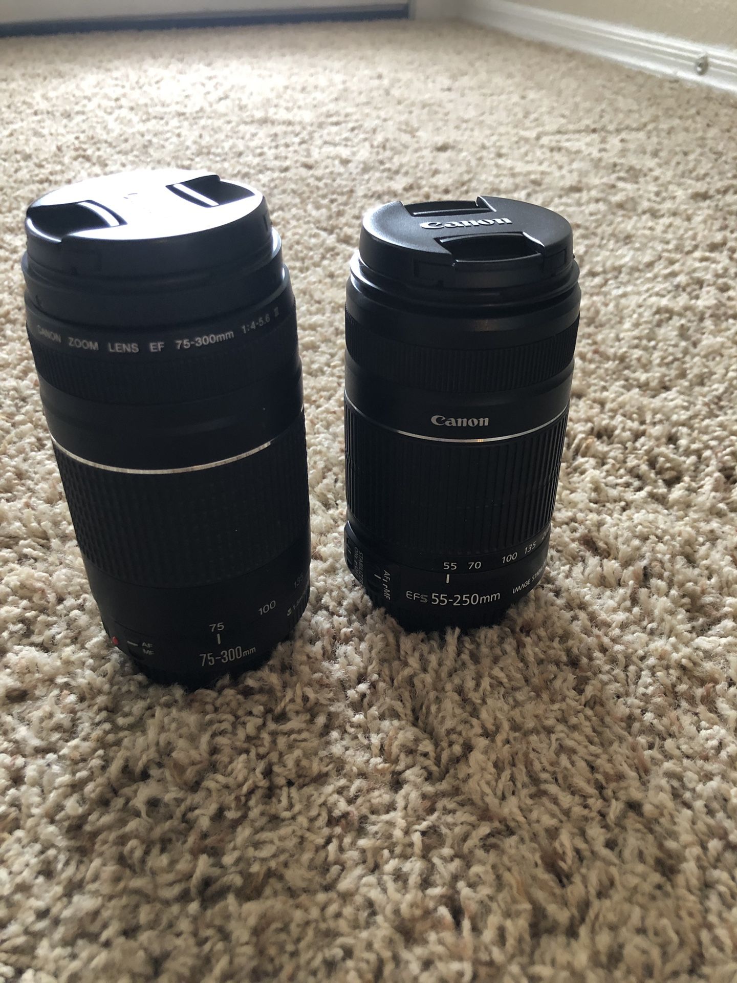 Canon Lenses