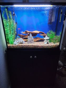Aquarium