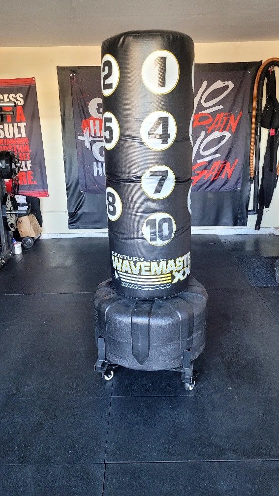 Punching Bag