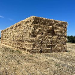 3 Way Grass