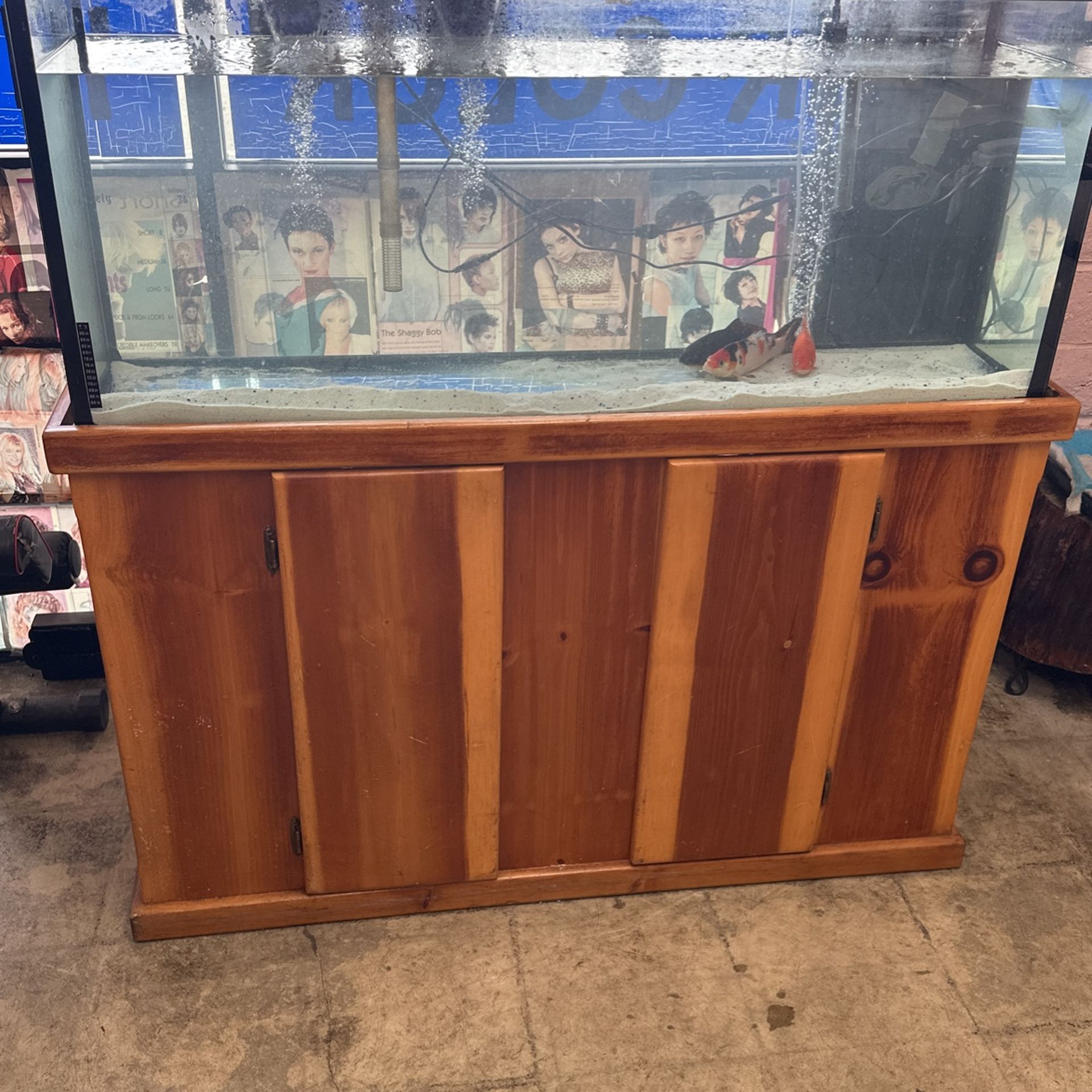 Wood Base With Glass Aquarium  With Of 55 Gallons 