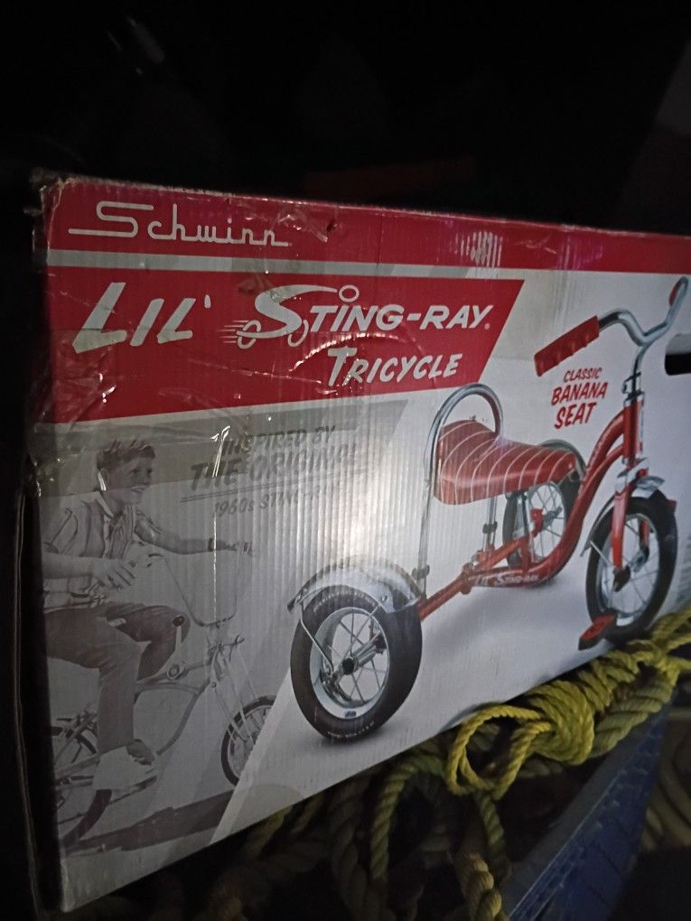 Little Sting Ray Trike