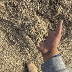 Horse Stable Wood Chips 