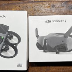 Dji Avata Combo Goggles 2