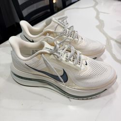 Nike Pegasus premium size 10.5 men