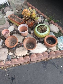 Medium, Small Plant Pots