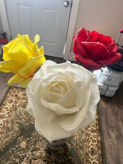3 tall roses