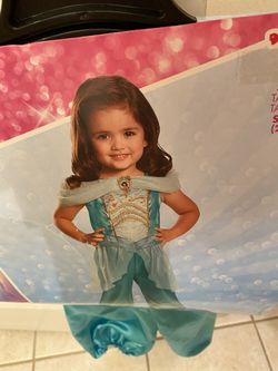 Disney princess costume