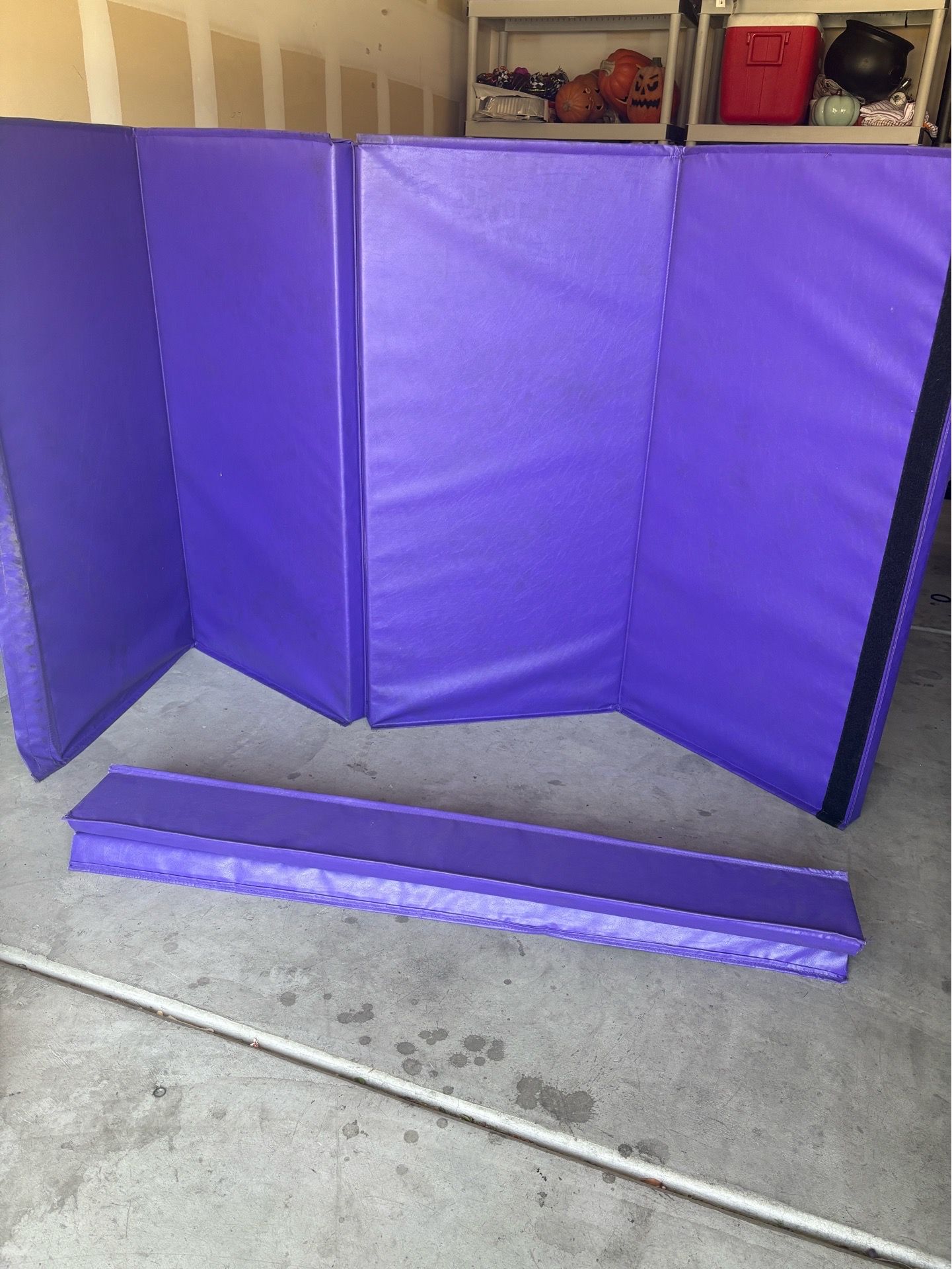 Resilite gym mat $50