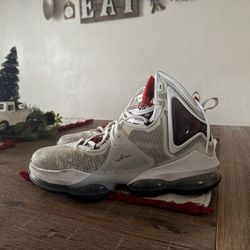 LeBron Shoes 