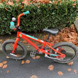 Cannondale Trail Kids Bike 