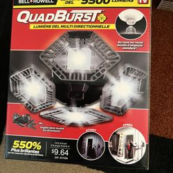 LED Light