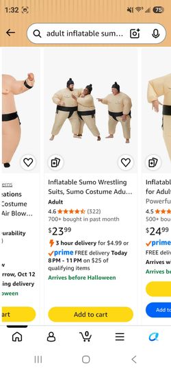 Adult inflatable summo wrestler costume