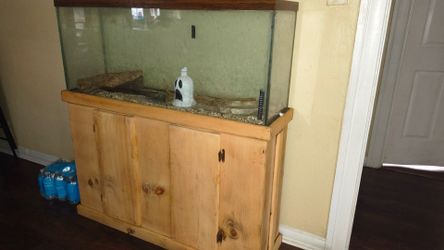 fish tank