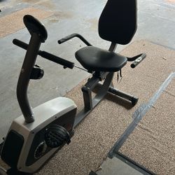 Recumbent Exercise Bike, EXCELLENT DEAL