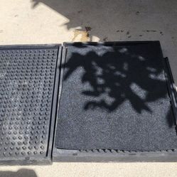 Wet/Dry Shoe Sanitizing Mat