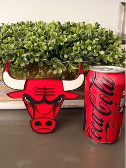 Chicago bulls basketball