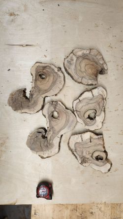 Surface olive cookie slabs