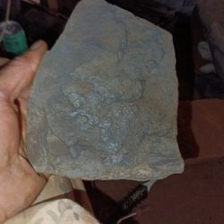 Rare Rock Discovered  With Crystal Found In The Tropical Waters Of  Hawaiian  Waters 