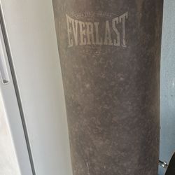 Everlast Heavy And Speed Bag