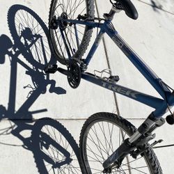 Trek Bike 