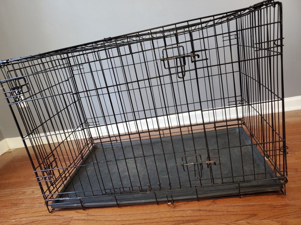 Medium Sized Kennel 