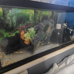 Reptile Tank