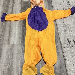 DINOS AND DRAGON MASCOT COSTUMES unixes customer  From shoulder to toe measures