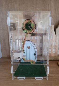 Jumping Spider Enclosure