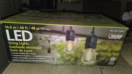 Outdoor Edison Lights 48ft