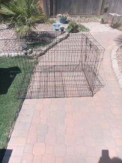 Large Dog Pen