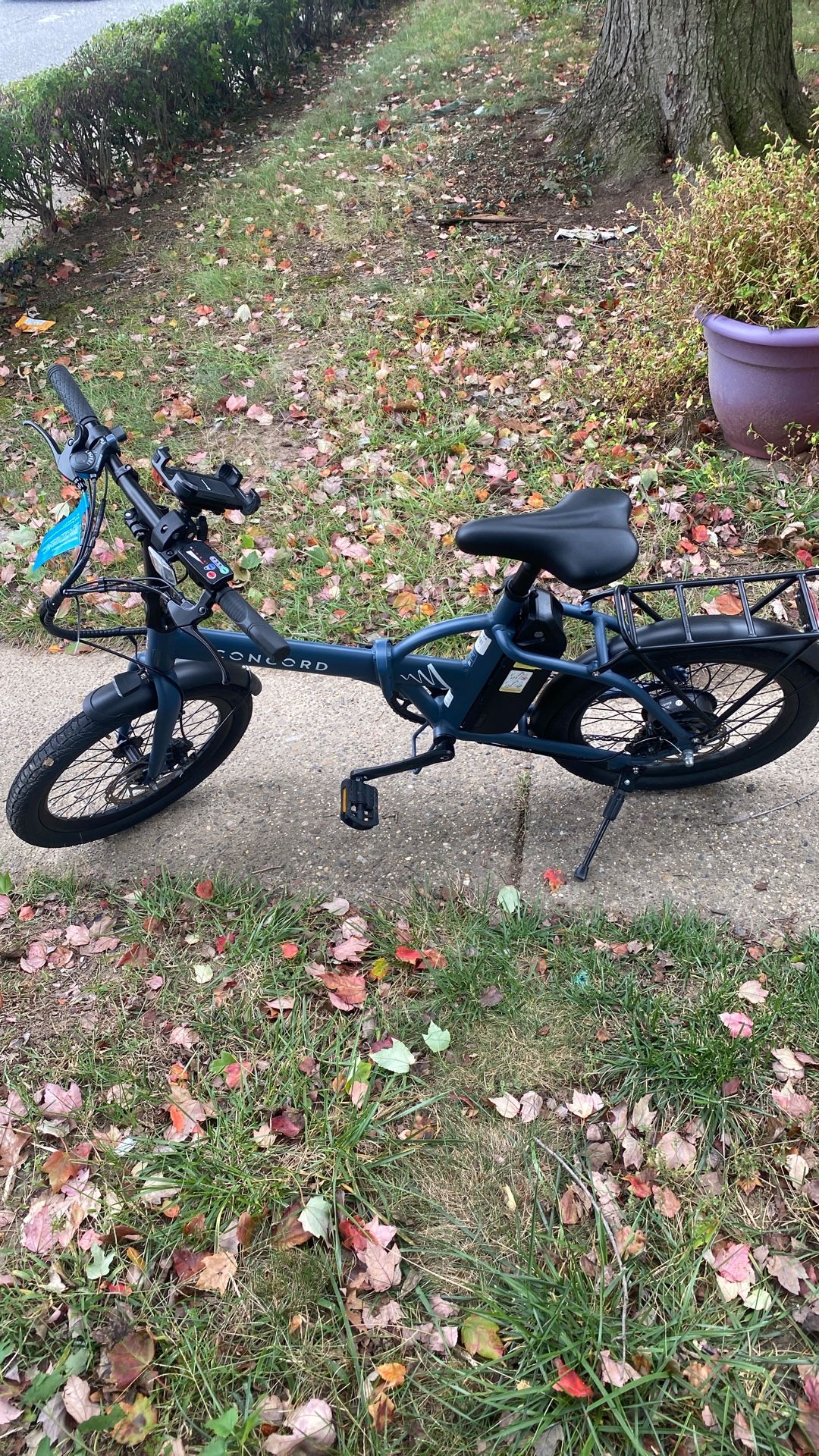 Elctric Cycle Foe Sell