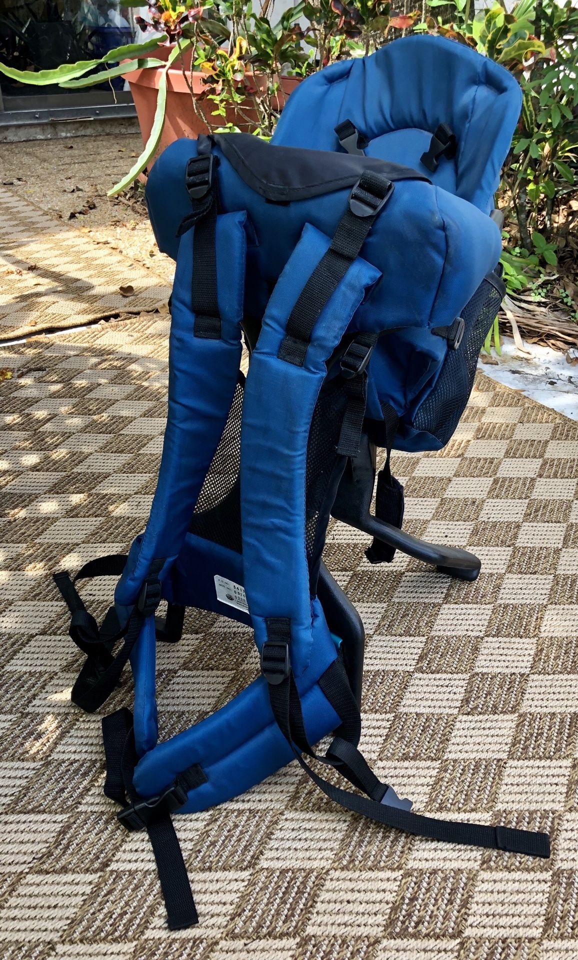 Evenflo Trailtech child toddler baby carrier backpack hiking camping