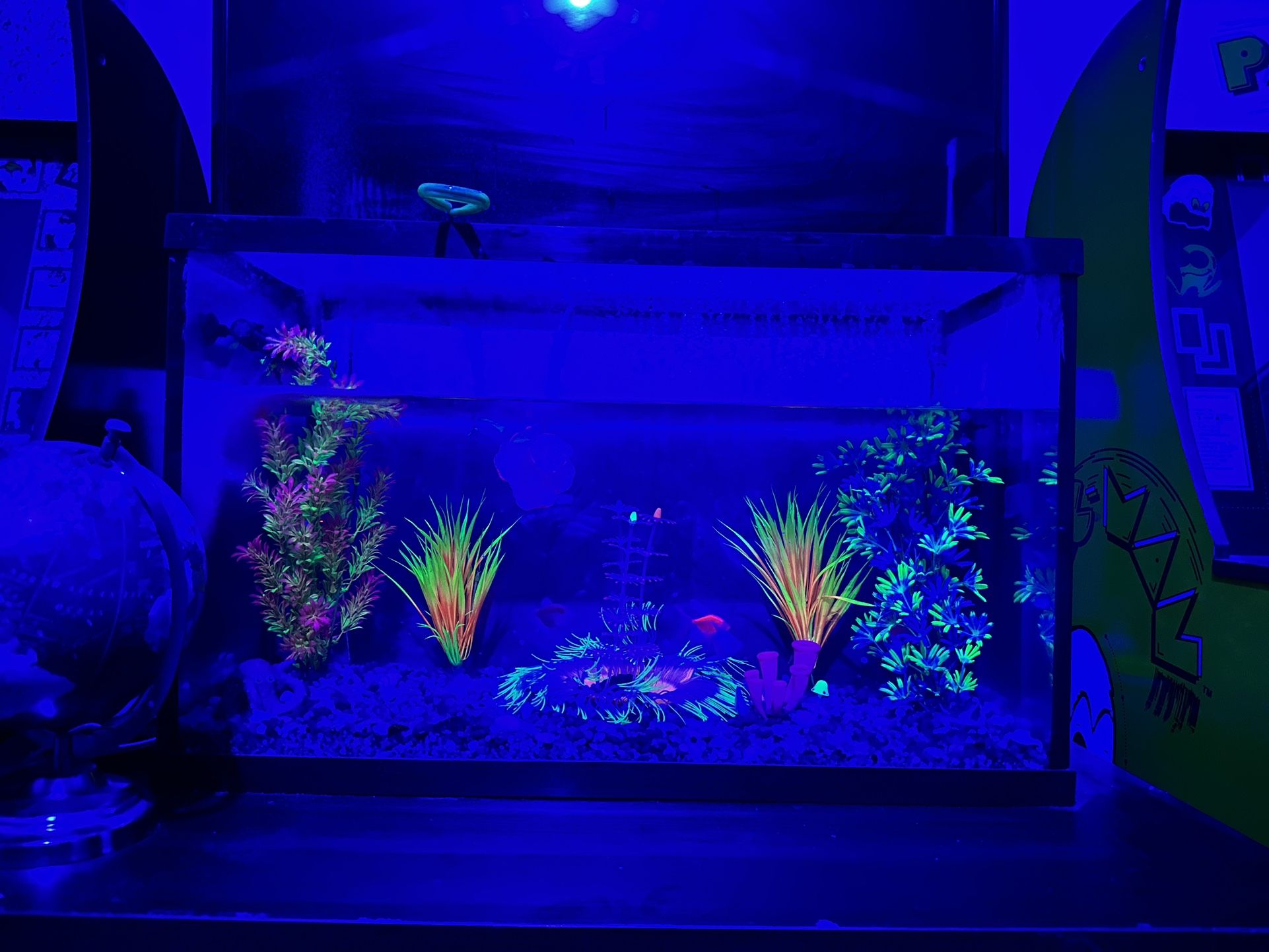 Glow Fish With Tank And Canister Filter