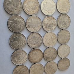 Full Tube XF Morgan Dollars!