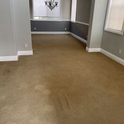 Used Carpet For Sale