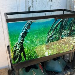 $20 Fish Tank 